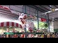 [Acrobatic Lion Dance] 廣東省湛江市國武蔡李佛龍獅團