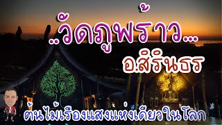 วัดภูพร้าว อ.สิรินธร ต้นไม้เรืองแสงแห่งเดียวในโลก