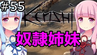 【Kenshi】琴葉茜・葵の奴隷姉妹 #55【VOICEROID実況】