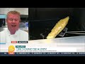 is it time to scrap fish u0026 chips wwf s seafood concerns sparks regulation debate gmb