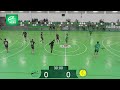 balonmano ingenio vs bm carnes do ribeiro