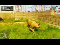 Can you walk across the map as an ANIMAL in GTA 5 Online