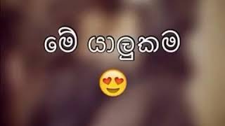 ආදරේ කරන ගොඩක් ඉස්සරාම යාලුවො👈👈