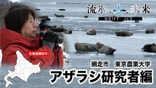 【流氷、人、未来】アザラシ研究者の思い編〜東京農大小林教授