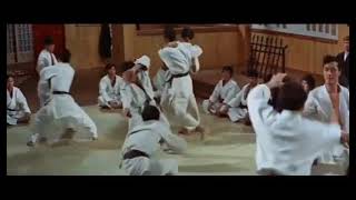 Punjabi dubbing very funny Bruce Lee fight scenes |parody of fist of furry in Punjabi|¦2021