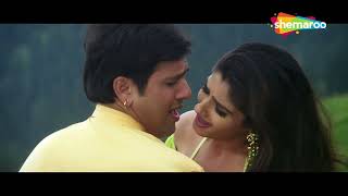 Tere Pyar Ne | Rajaji (1999) | Govinda | Raveena Tandon | Udit Narayan | Anand Milind | Hit Songs