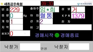 세종공주축협님의 실시간 스트림