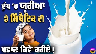 Milk Adulteration: ਦੁੱਧ 'ਚ ਯੂਰੀਆ ਤੇ ਸਿੰਥੈਟਿਕ ਦੀ ਪਛਾਣ ਕਿਵੇਂ ਕਰੀਏ ! How To Check Milk Purity