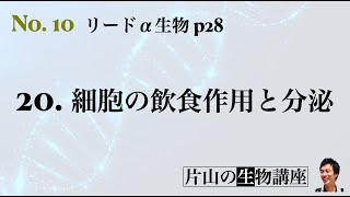 10_片山の生物講座（20. 細胞の飲食作用と分泌）