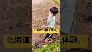 【田植え体験】①人生初の田んぼに入って田植え体験をするよ〜🌾  北海道でお米作り👍 北海道旭川市✨ #ninjya #shorts #旭川市 #北海道旭川市 #北海道 #苗 #田植え体験