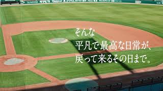 スポナビ野球速報CM　＃待ってるぞプロ野球　30秒