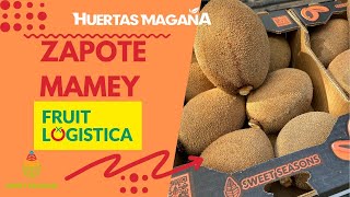 We send Mamey to Berlin Germany to @FRUIT_LOGISTICA