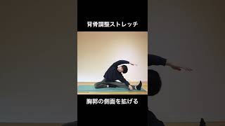 【背骨調整ストレッチ】　ヨーガ・ピラティス：ボディワーク #shorts