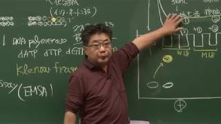 京都大学 理学部 「細胞内情報発信学」第4回 森 和俊 教授 (理学研究科) Ch.2  2018年5月11日