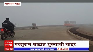 Parashuram Ghat  : परशुराम घाटात दाट धुक्याची चादर, वाहतूक धीम्या गतीने सुरु : ABP Majha