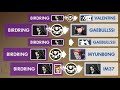 Birdring POV vs. Boston (Dorado) [Week 8]