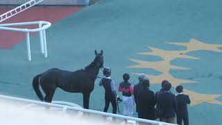 ハンス × 横山典弘 四位調教師とウィーナーズサークル 阪神3R 2歳未勝利 阪神競馬場 2021年11月27日