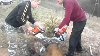 stihl ms 660 vs 039/jazbec vs drekson