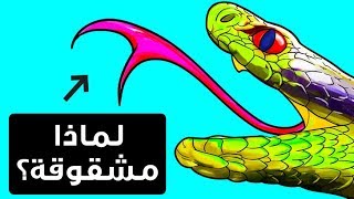 لماذا تملك الثعابين ألسنة مشقوقة؟