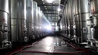 ირაკლი ღარიბაშვილმა ველისციხეში ახალი ღვინის ქარხანა გახსნა