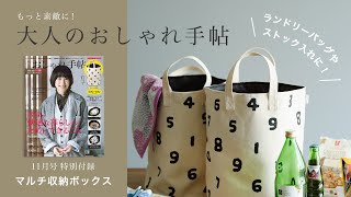 【雑誌付録】整理上手のマルチ収納ボックス #Shorts