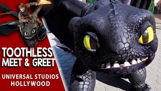 Toothless Meet & Greet from How To Train Your Dragon | Universal Studios Hollywood