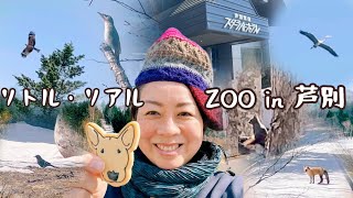 うえむら真美の今日はどんな日？20240407