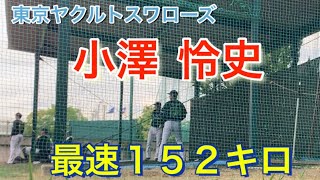 【ヤクルトスワローズ  】小澤怜史 自己最速152km ブルペン投球