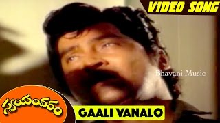 Gaali Vanalo Song || Swayamvaram Movie Full Songs || Shobhan Babu, Jayapradha, Dasari Narayana Rao
