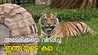 അമേരിക്കയെ വിറപ്പിച്ച 'ഇന്ത്യ'യുടെ കഥ