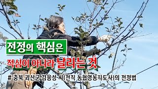 전정의 핵심은 적심이 아니라 날리는 것 - 충북 괴산군 김응성 씨(전직 농협영농지도사)의 전정법