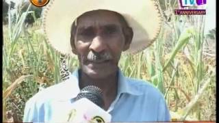 News1st:Farming communities under threat from prevailing drought