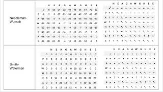 Pairwise Sequence Alignment (part 3)
