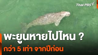 พะยูนหายไปไหน กว่า 5 เท่า จากปีก่อน | อนาคตประเทศไทย | 14 มี.ค. 67