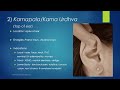 marma therapy ayurvedic energy points on the ear