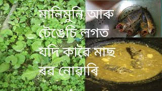 মানিমুনি আৰু টেঙেচি শাক তৰকাৰী,পেটৰ কাৰণে বৰ উপকাৰী 😮