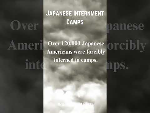 How long were Japanese held in internment camps?