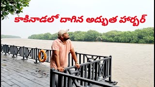 Kakinada Famous Tiffins | Koringa Wildlife sanctuary