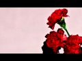 John Legend - We Loved It feat. Seal