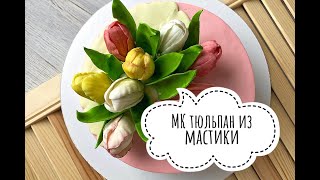 МК ТЮЛЬПАН ИЗ МАСТИКИ