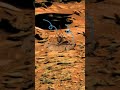 DIGITAL SPACE-RHALI: Mars 4k Video || Sol 120