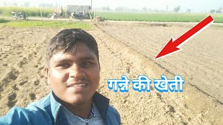 खेत में गन्ने की बुवाई | Sowing Sugarcane in the field | @MrBeast #farming #vlog #myfirstvlog