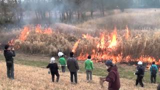 2016年の小貝川河川敷の野焼き : Controlled burning in Japan @ Kokai-gawa River Ibaraki Prefecture