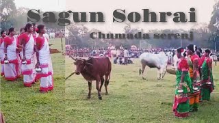 Sohrai parab santhali video 🔥 Chumada Serenj