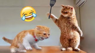 Funniest Cats and Dogs 2024 😹🐶 New Funny Animals  😍 Part 10