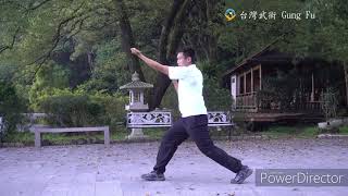 台灣武術 Gung Fu 形意拳－鷹熊合形