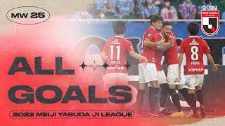 Kashima Antlers are back up in second! | Matchweek 25 | All 2022 J1 LEAGUE Goals