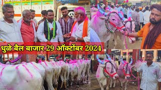 धुळे बैल बाजार live 🔴 29 ऑक्टोंबर 2024 || Dhule bail bajar #बैलबाजार #dhule