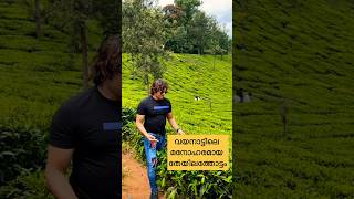 വയനാട്ടിലെ മനോഹരമായ തേയിലത്തോട്ടം 😍#wayanad  #kerala #malayalamvlog beautiful tea garden in Wayanad