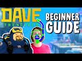 Dave the Diver BEGINNER GUIDE 🐟 10 Tips & Tricks for Beginners